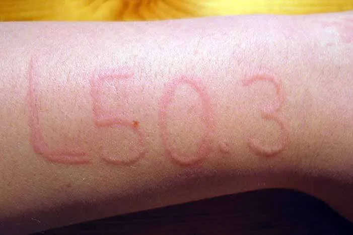 그림